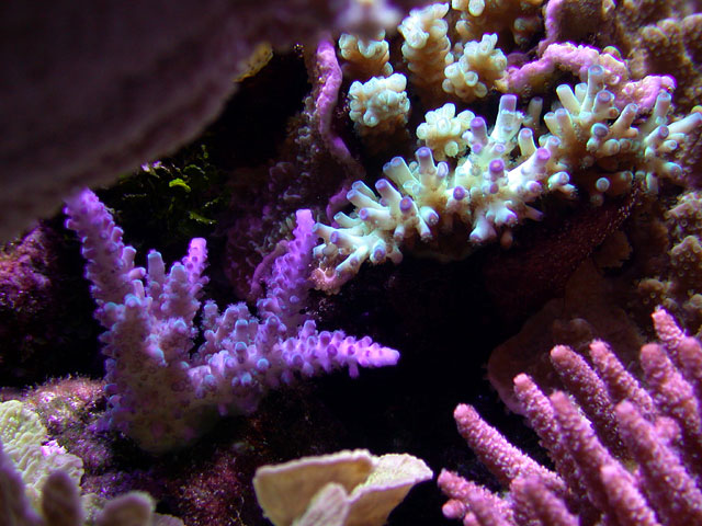 DSCN0861.jpg
