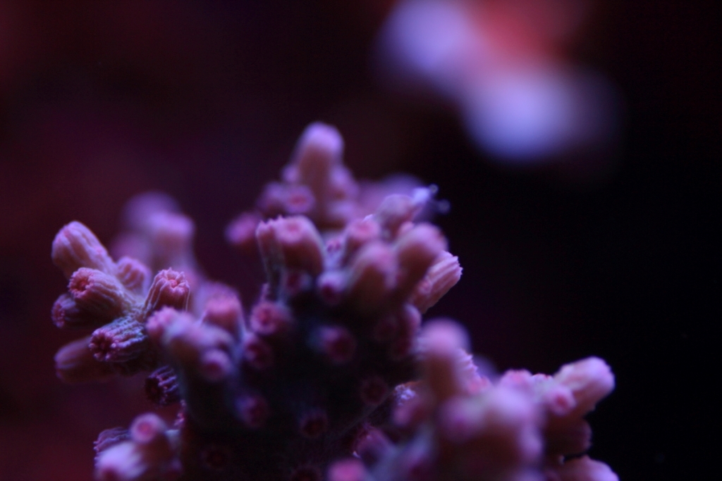 Nov2013M0015.JPG