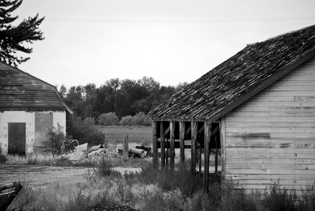 3801785277_605d50ce58_b.jpg