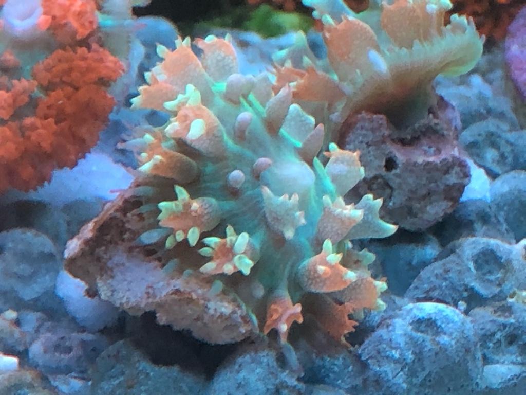 e7987b761d4de73cd3d908b0d805ef52.jpg
