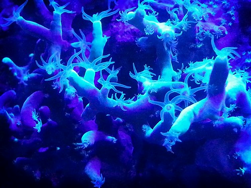 8690198134_cc87b1f0f1.jpg