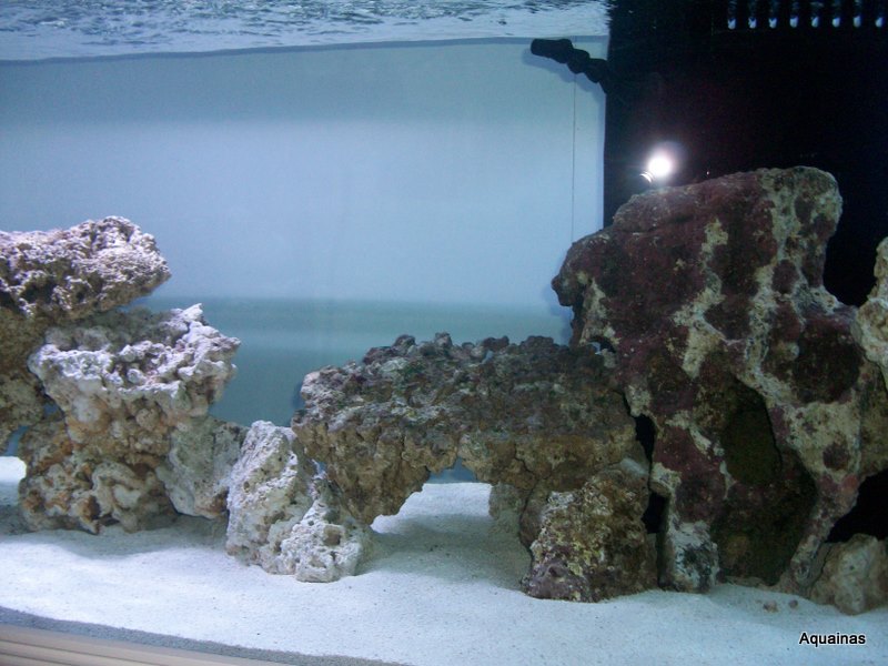 100_6804.jpg