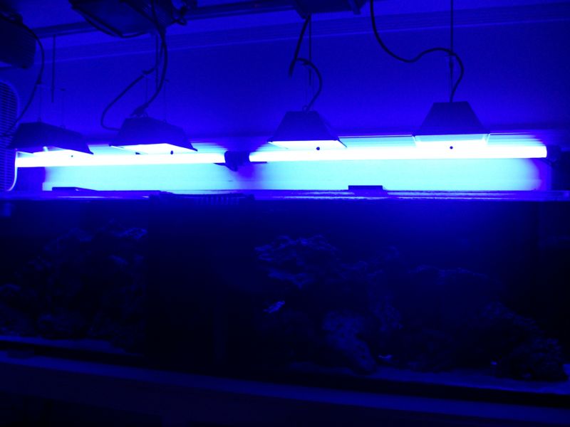 100_8603.jpg