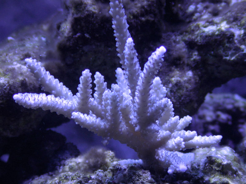 DSCN3148.jpg