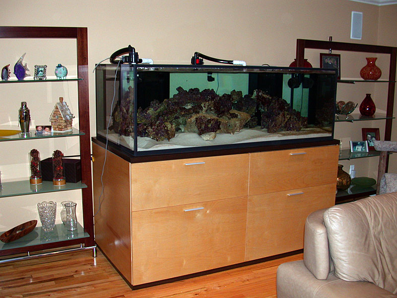 DSCN2275.jpg