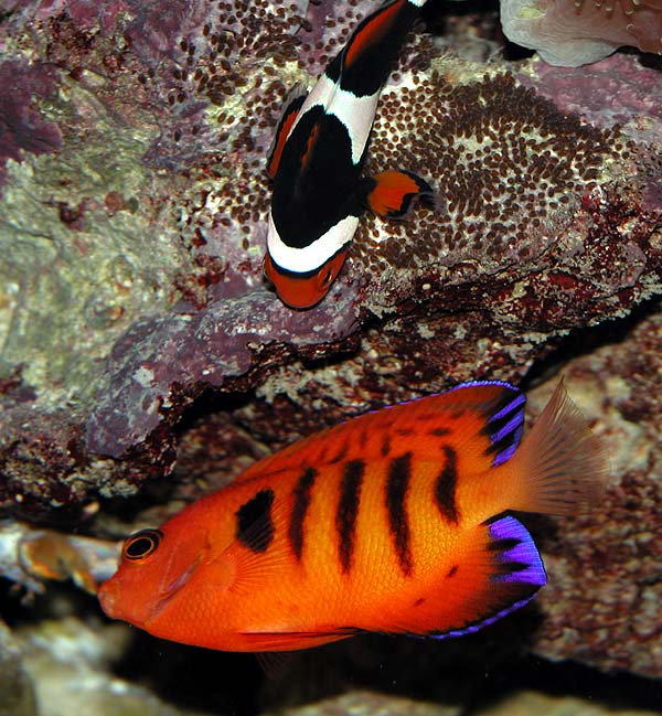 DSCN7767.jpg