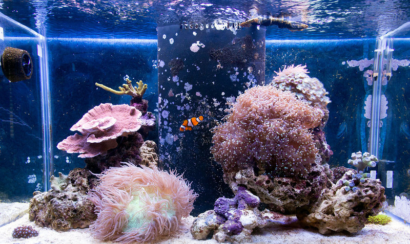 20120816-0011-L.jpg