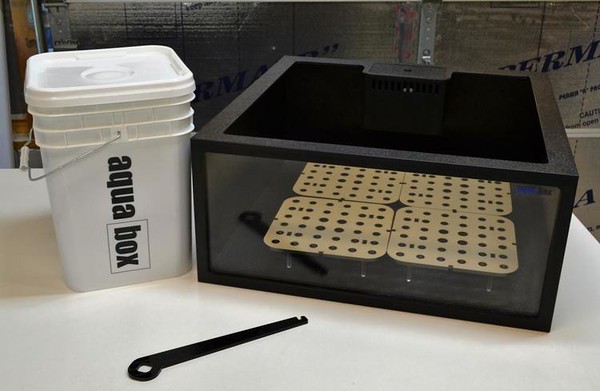 aquabox_frag_bucket1-M.jpg
