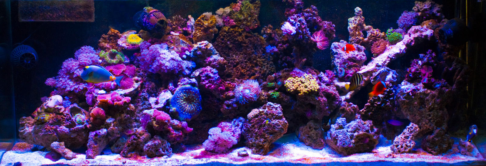 10kt5_led2_by_bayareahdv-d6am8gj.jpg