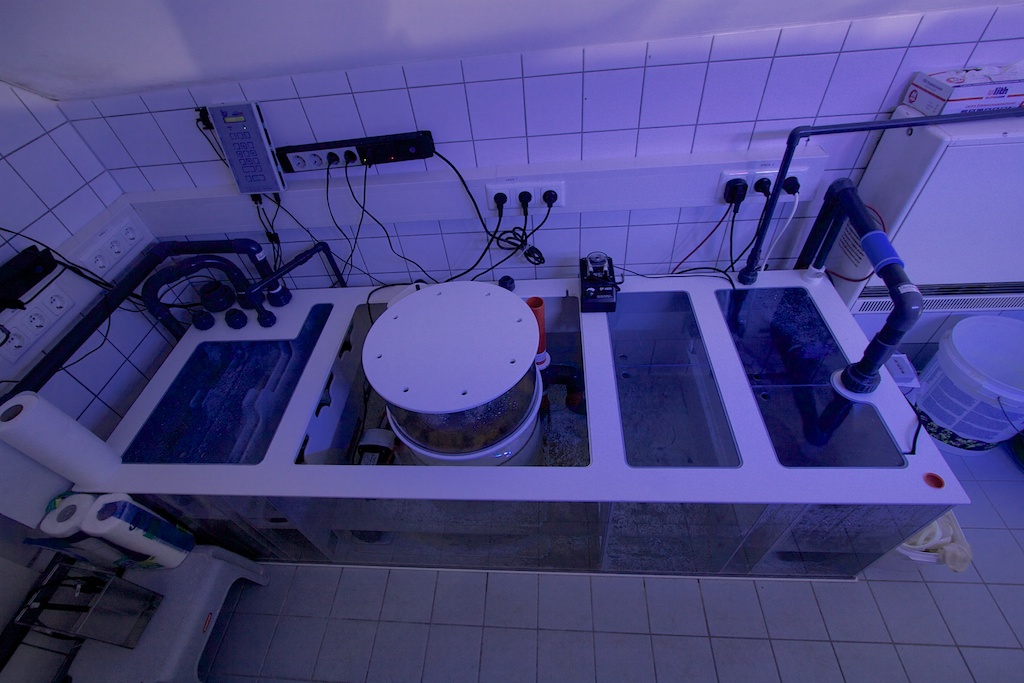 dreambox-rc.jpg