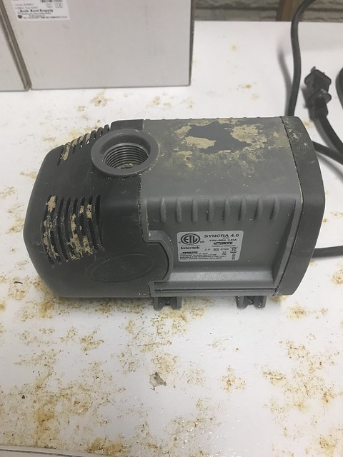 46468667032_dc127ff6d7_z.jpg