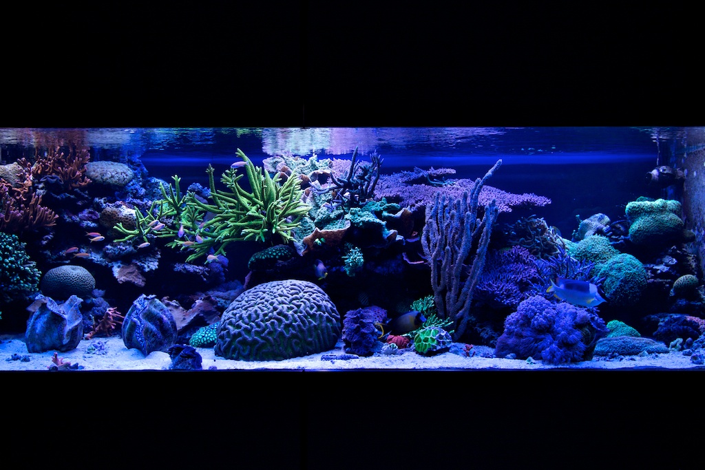 201107-1.jpg