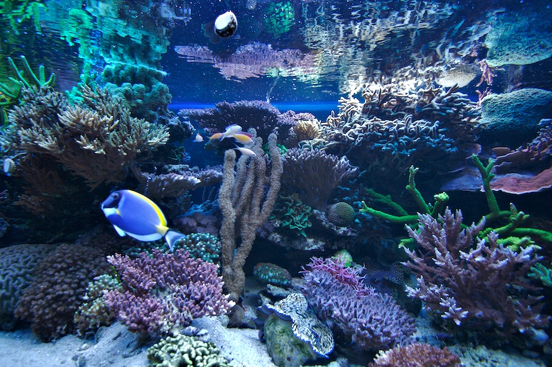 2008-02-29_2.jpg