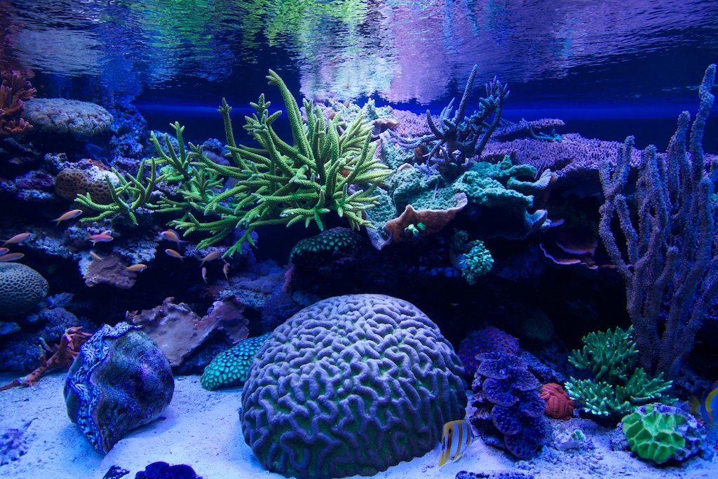 201107-5.jpg