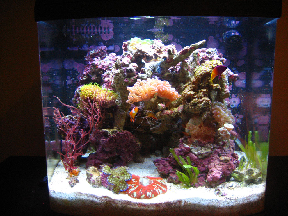 fts.jpg