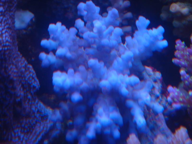 20080416_bd30a5895752fd992c08FVzQrcAxKbt2.jpg