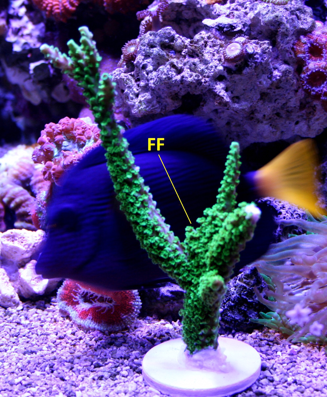 ef78904a5bc4bb1db05d527970c856f4.jpg