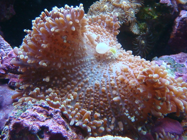 4160751755_c953a383d3_o.jpg