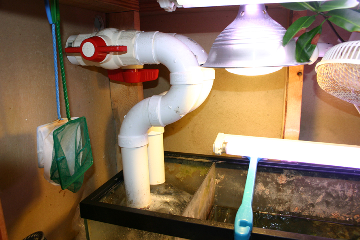 drains.jpg