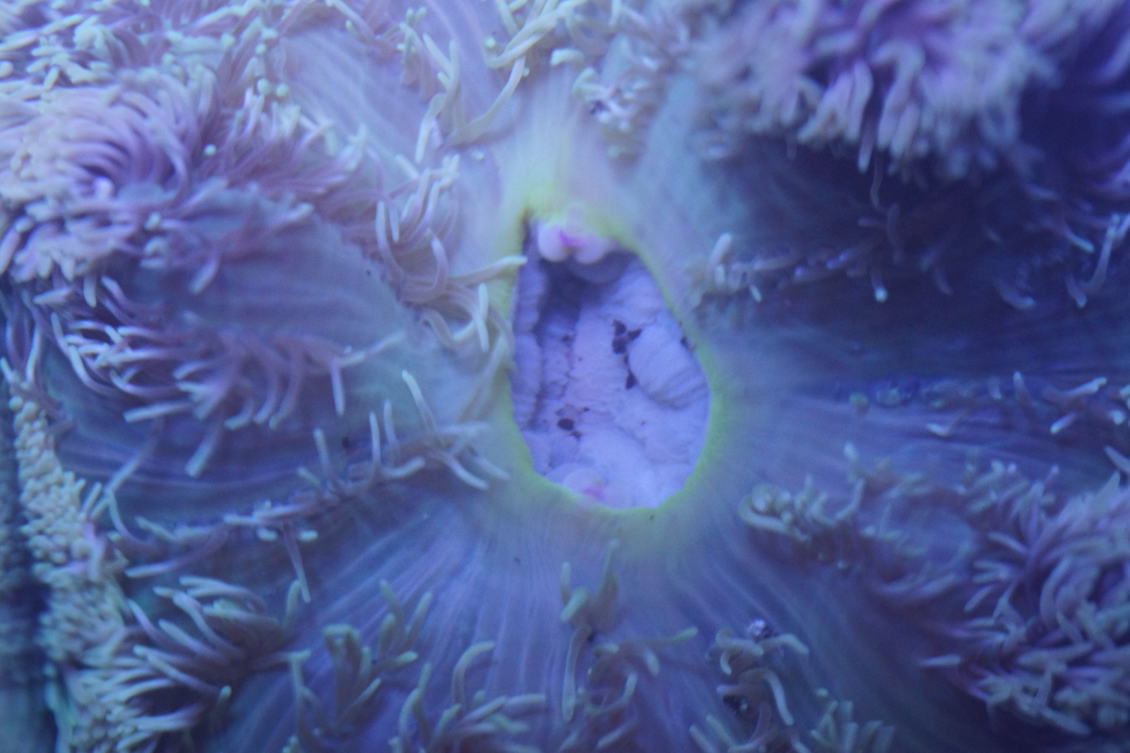 i-cD8JDnJ-X3.jpg