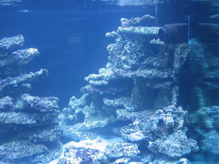 9-old-2005-4.jpg