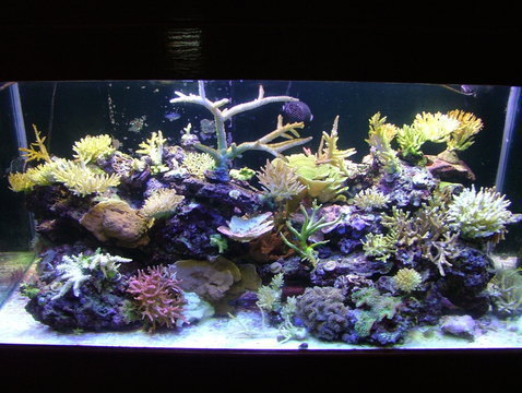 DSCF4346.JPG