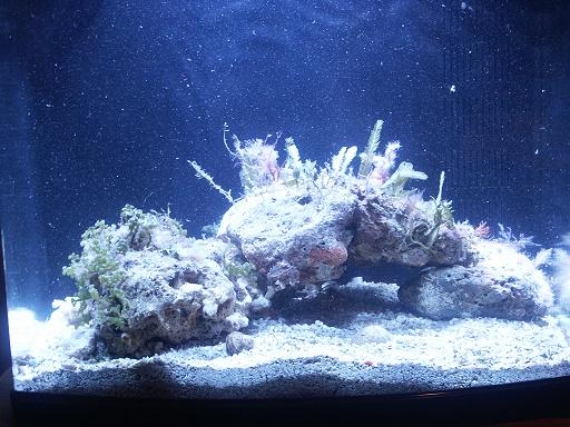 pic11.jpg