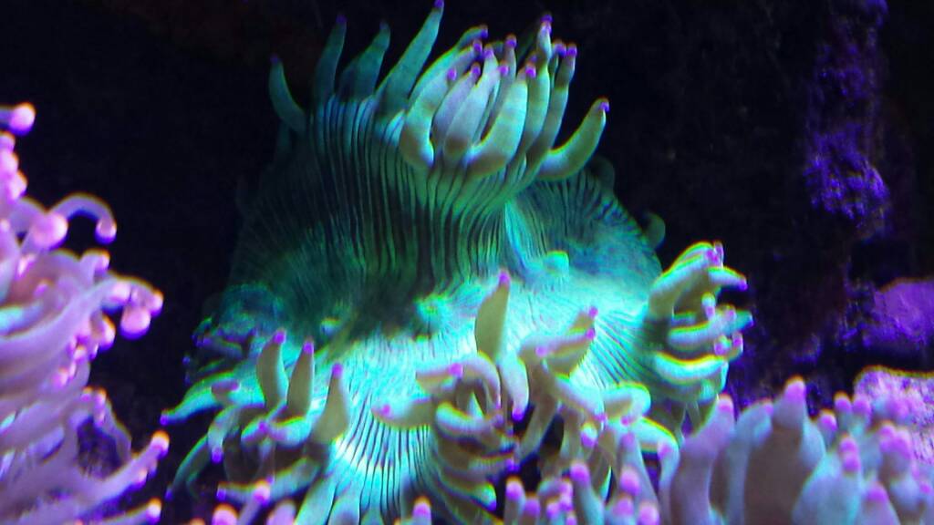 42720e8874d16c4cc935661ccdca8329.jpg