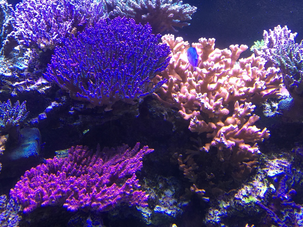 cf0507d49f29fbcb666d8e782285f84c.jpg