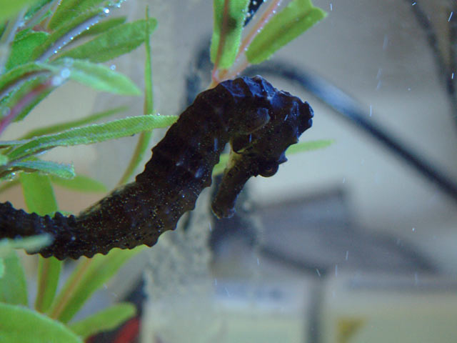 casper_0407c.jpg