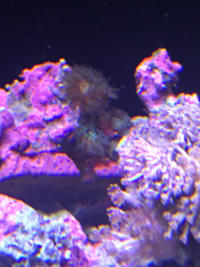 910f083dc00651cc81b2e28a3cdf2638.jpg