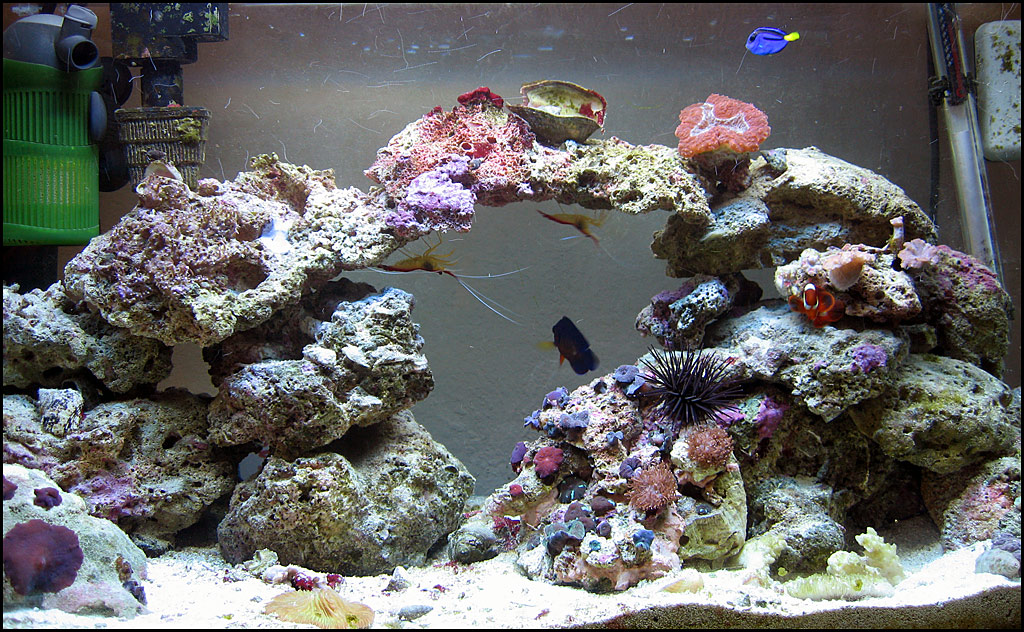 tank-04-27-06.jpg