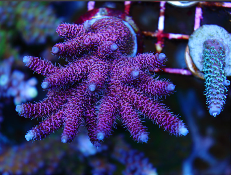 47326941751_60dba950c0_c.jpg
