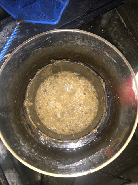 8e5dfce63d2426005ed13f7779ef293e.jpg