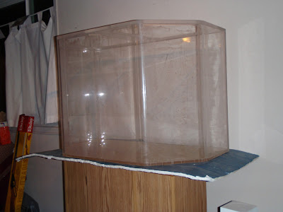 P1050069.JPG