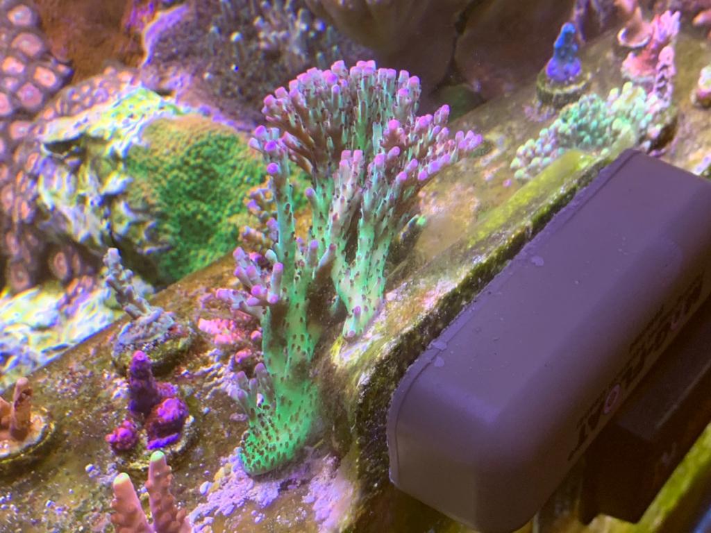 943d82ab83c5913995bf6e08a4e86943.jpg