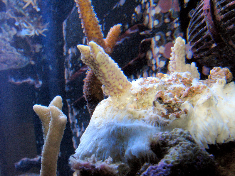 IMG_3162.JPG