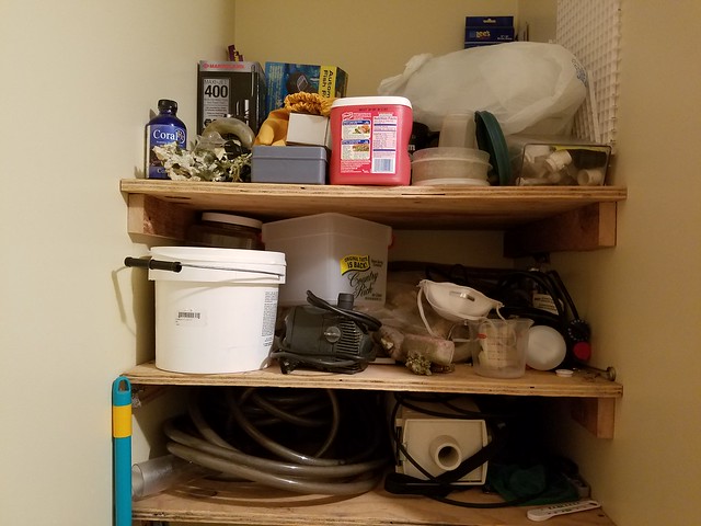 29419324911_5703b657c4_z.jpg
