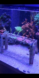 3d6d69d27830c926b2d42c3d3c2db4af.jpg
