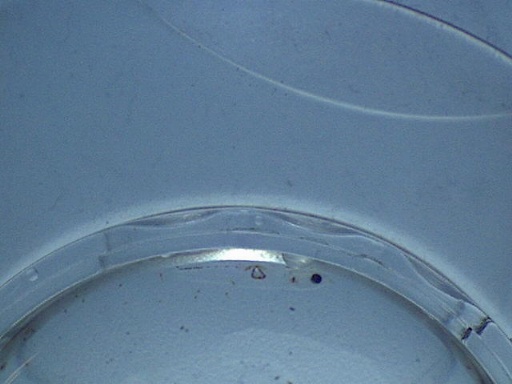 GBG_458_1.jpg