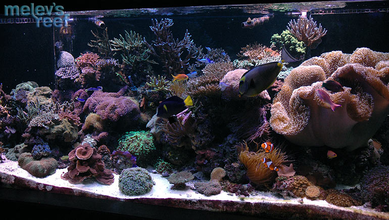 quick_fts_1205.jpg