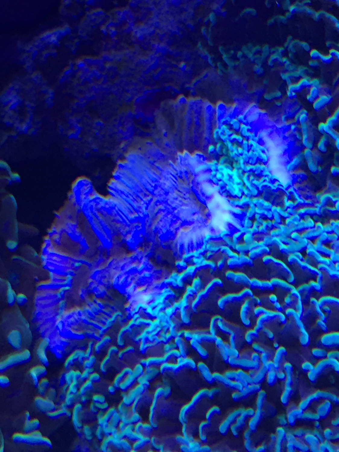 93053f9b7b06bf067dc5945e9cf09055.jpg