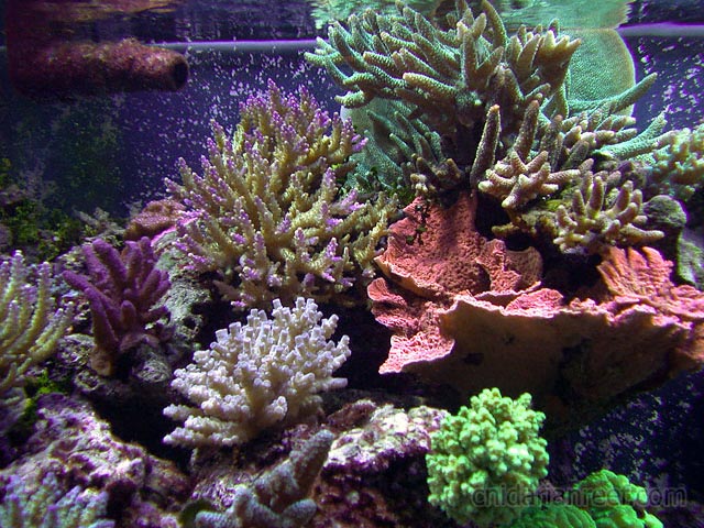 DSCN3762.jpg