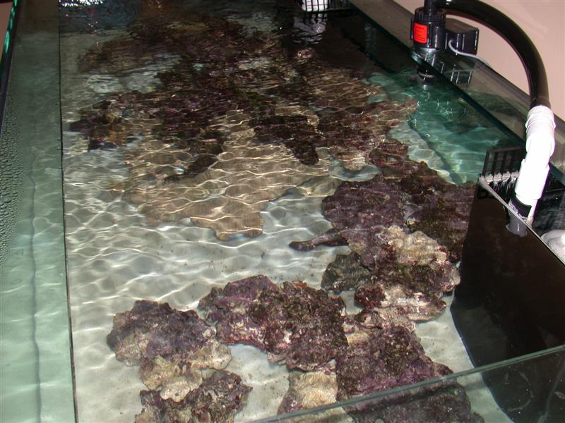 DSCN2215.JPG