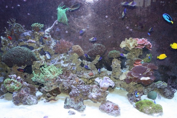 fts005.jpg