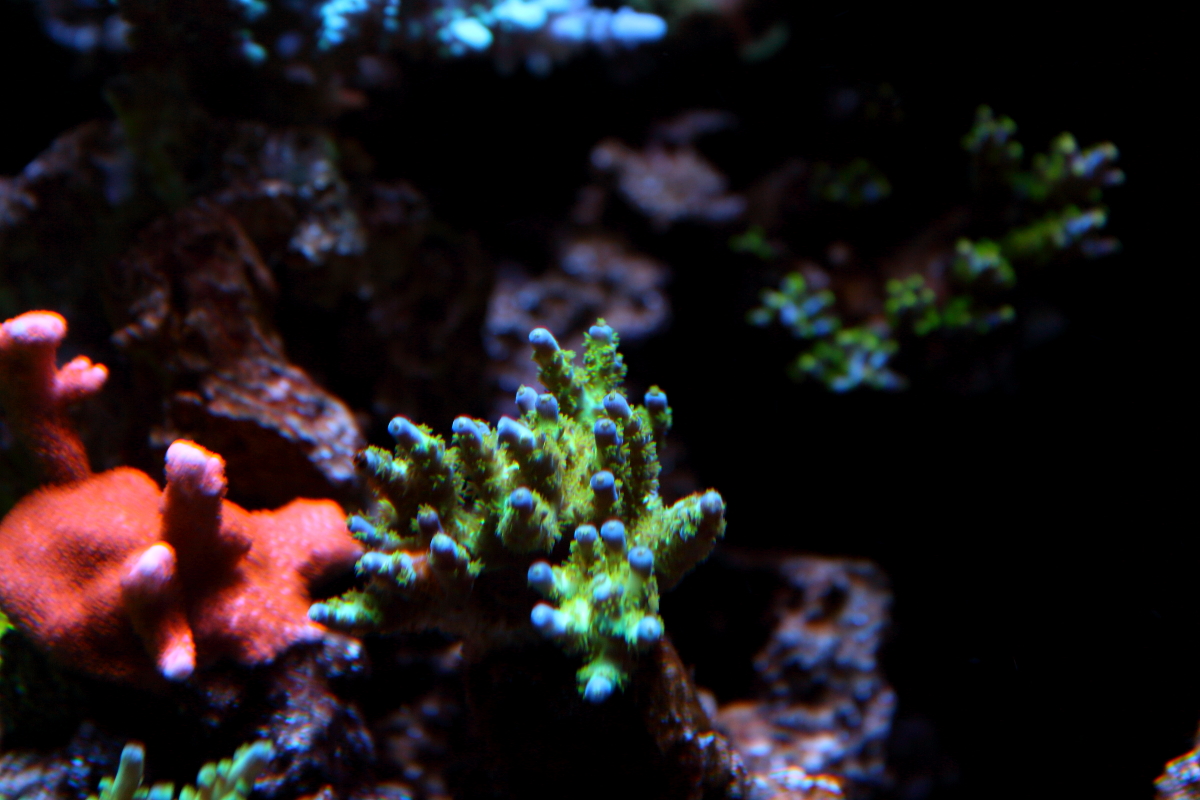 Sept20130004.JPG