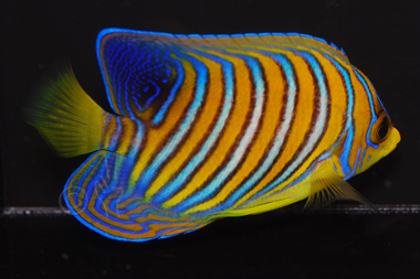 DSC_6739_ps.jpg