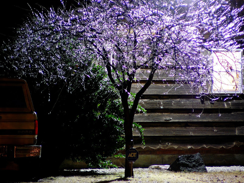 P1020023.JPG