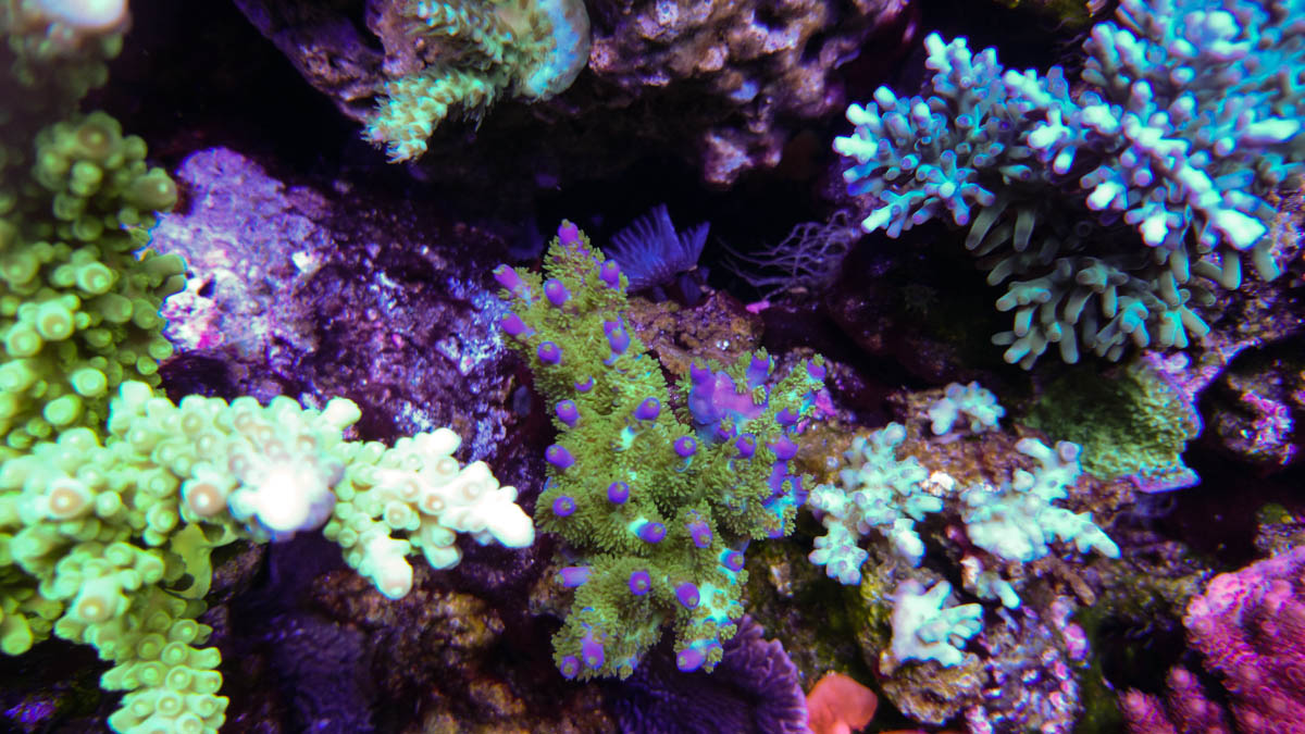 DSC_0039.jpg