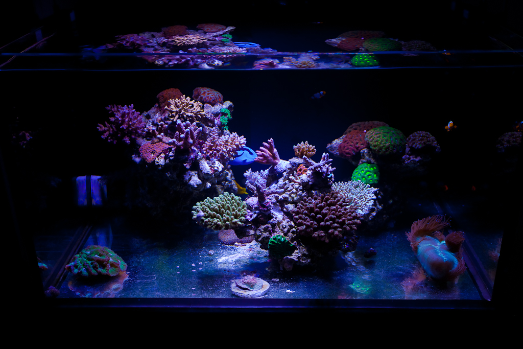 10968223016_178137fd0f_b.jpg